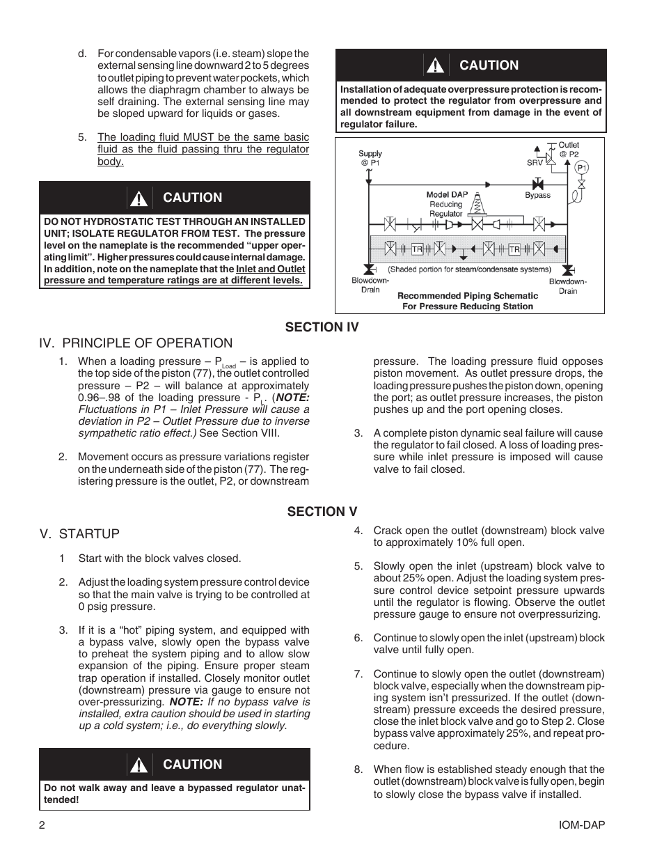 Cashco DAP User Manual | Page 2 / 12