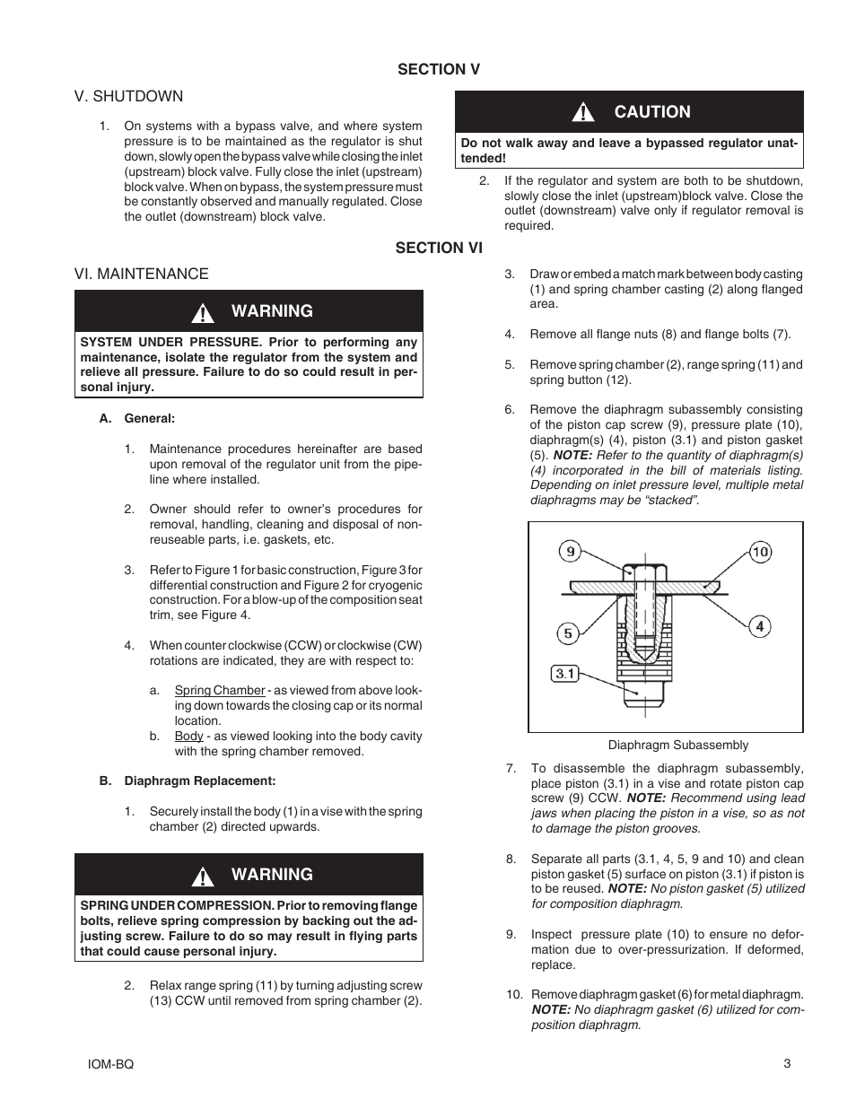 Caution, Warning | Cashco BQ User Manual | Page 3 / 8