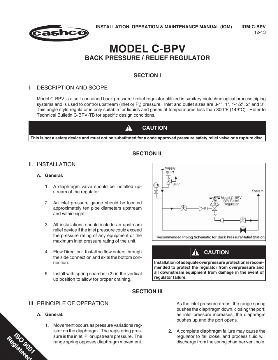 Cashco C-BPV User Manual | 12 pages