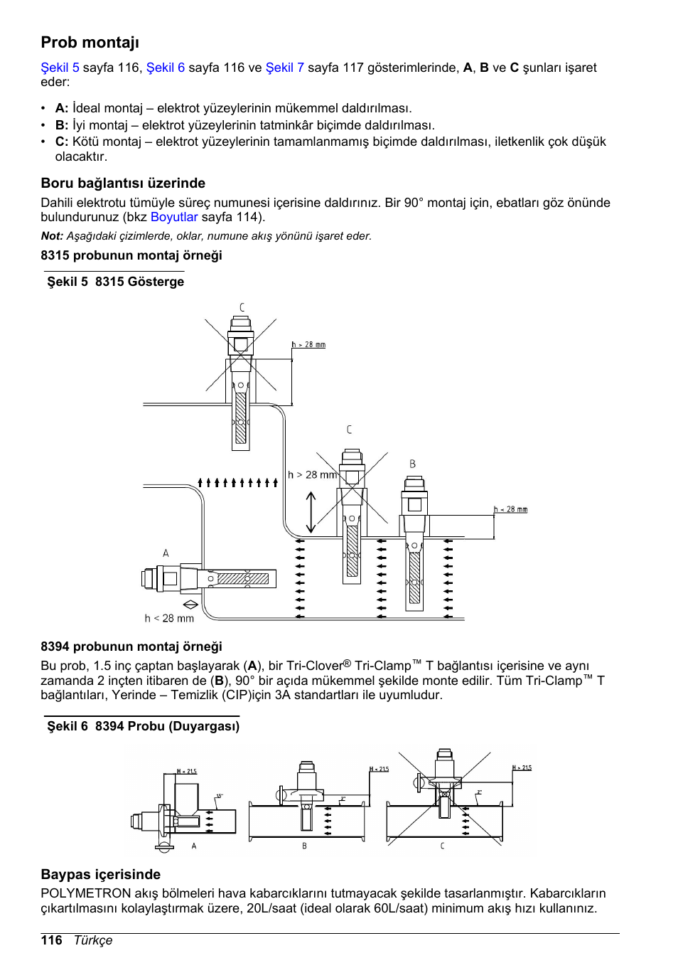Prob montajı, Boru bağlantısı üzerinde, Baypas içerisinde | Hach-Lange POLYMETRON 83xx Basic User Manual User Manual | Page 116 / 124