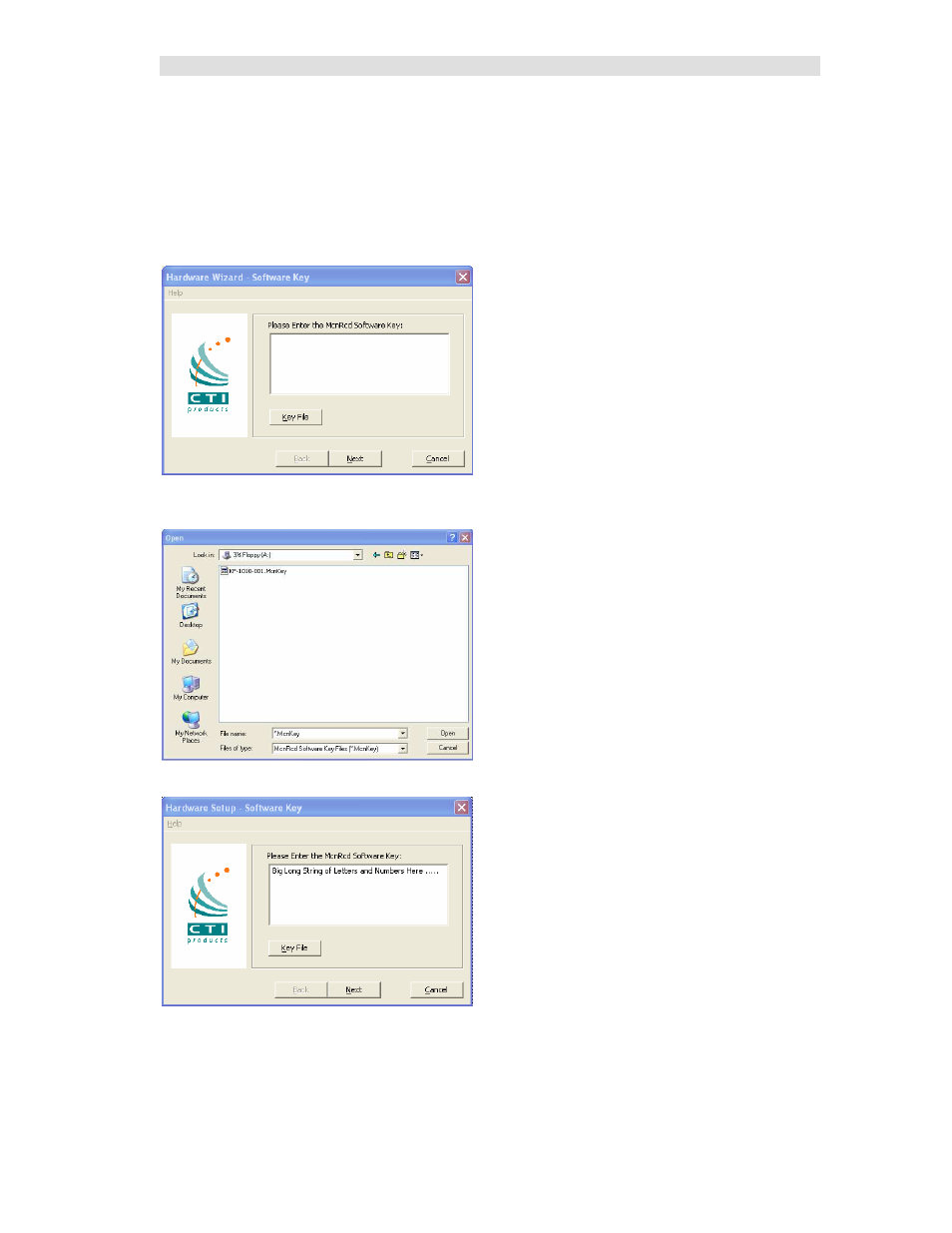 CTI Products RCD Advanced Client-Server User Manual | Page 24 / 169