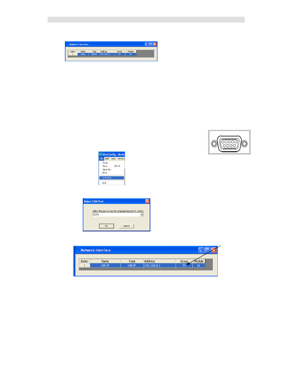 Mcnconfig program: network interface window, Programming hib-ip units | CTI Products RCD Advanced Client-Server User Manual | Page 52 / 169