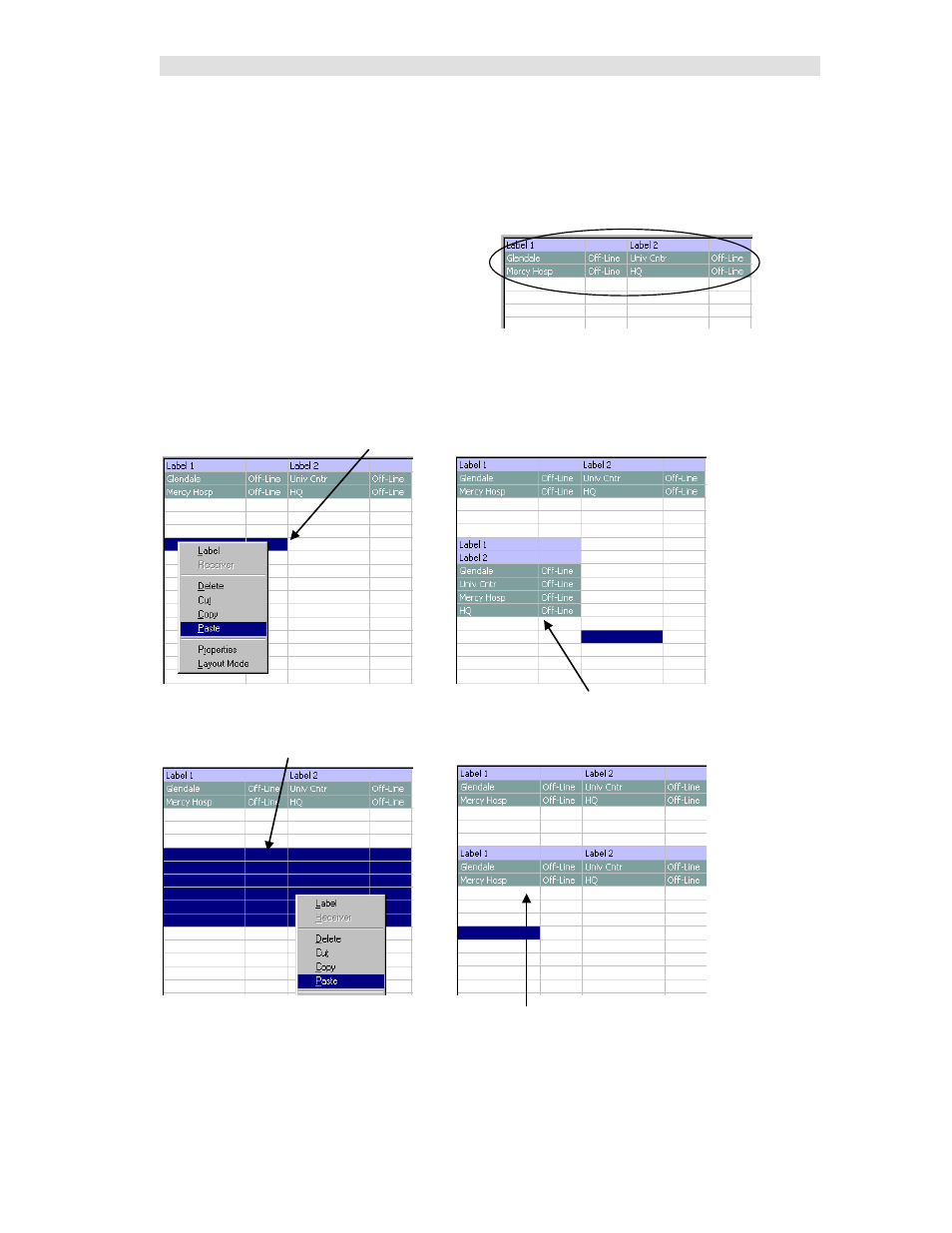Cutting & pasting multiple columns, Pasting the clipboard to a single cell or column, Preserves the shape of the range of cells | CTI Products MCN Server 8000 User Manual | Page 110 / 232