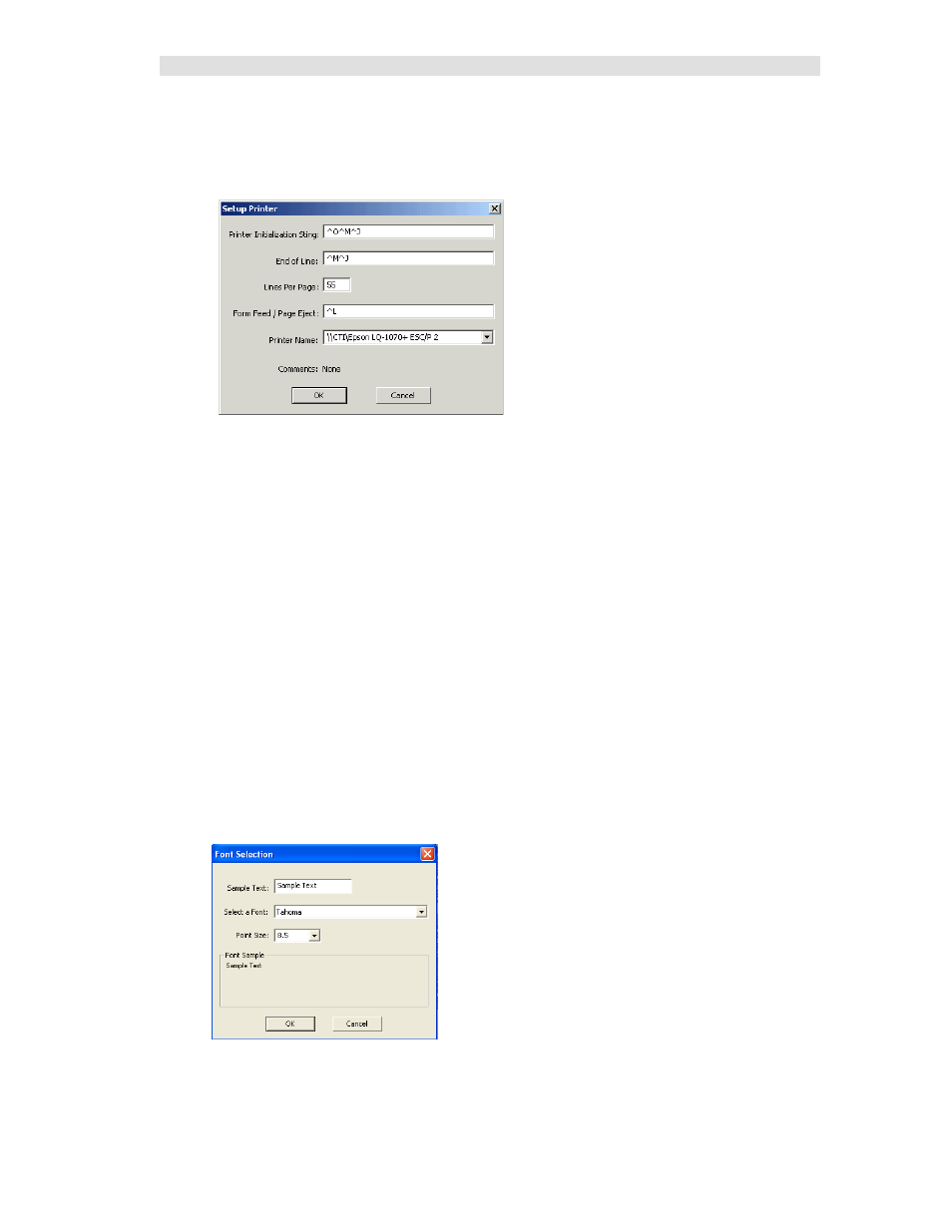 Printer setup, Font | CTI Products MCN Server 8000 User Manual | Page 134 / 232