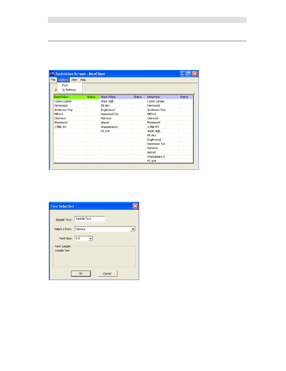 Options menu, Font window, Ptions | CTI Products MCN Server 8000 User Manual | Page 147 / 232