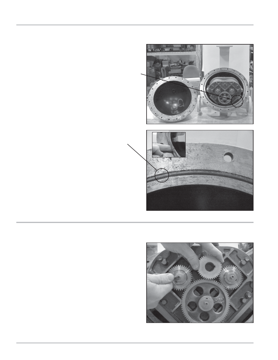 Disassembling the meter, Removing the rotor gears | Liquid Controls MS Meters User Manual | Page 22 / 40