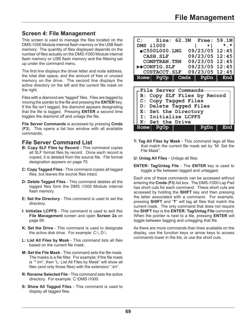 File management, File server command list, Screen 4: file management | Liquid Controls DMS Setup User Manual | Page 69 / 84