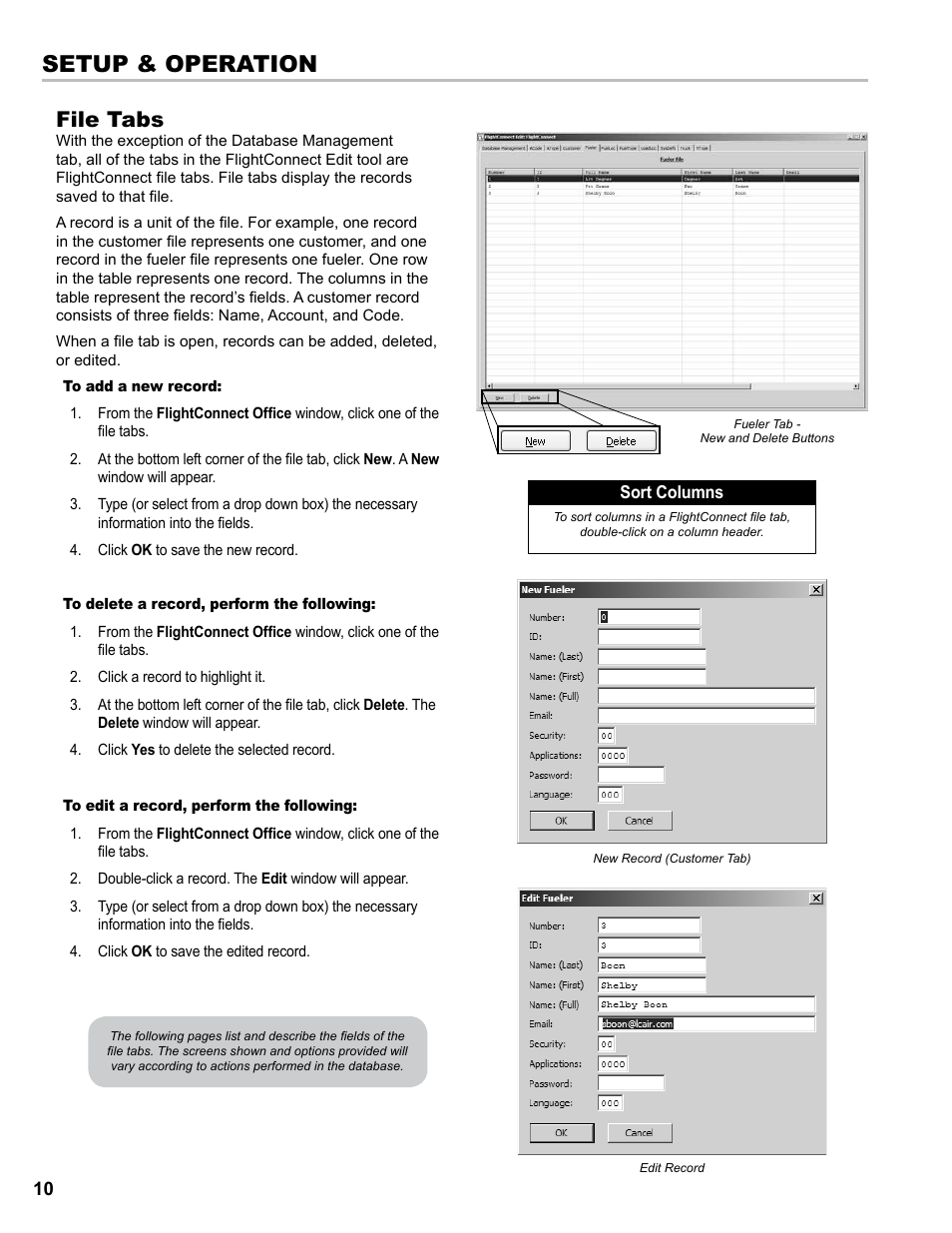 Setup & operation, File tabs | Liquid Controls FlightConnect Office User Manual | Page 10 / 36