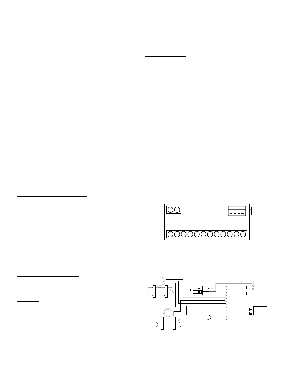 Rear view, Analog output option | Liquid Controls SP2200 User Manual | Page 21 / 25