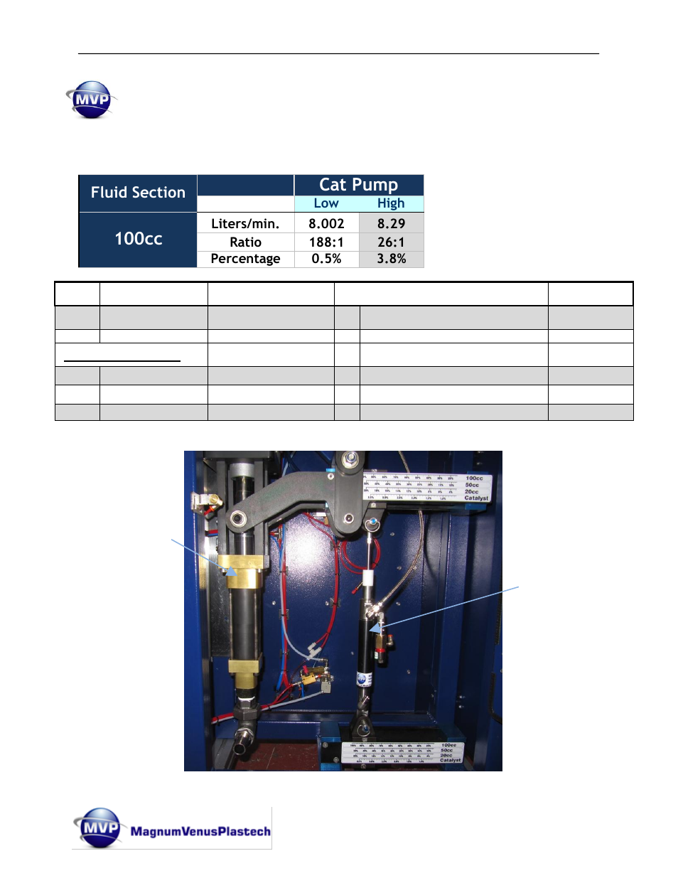 Optional pumps, Catalyst pump option, Cat pump | 100cc | Magnum Venus Plastech Flex Molding Process MKVI Mix User Manual | Page 35 / 92