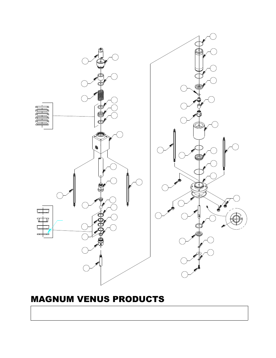 Magnum venus products, Ccpls-1000-ss | Magnum Venus Plastech STAINLESS STEEL CHOP CHECK CCPLS-1000-SS User Manual | Page 9 / 12
