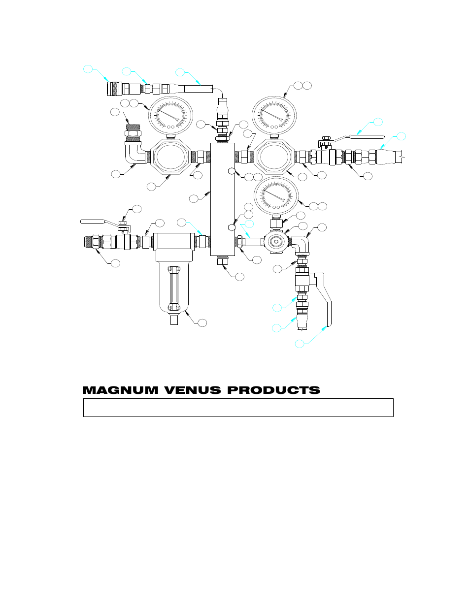 Magnum venus products, Page 21 of 25 | Magnum Venus Plastech High Volume Modular System User Manual | Page 22 / 27