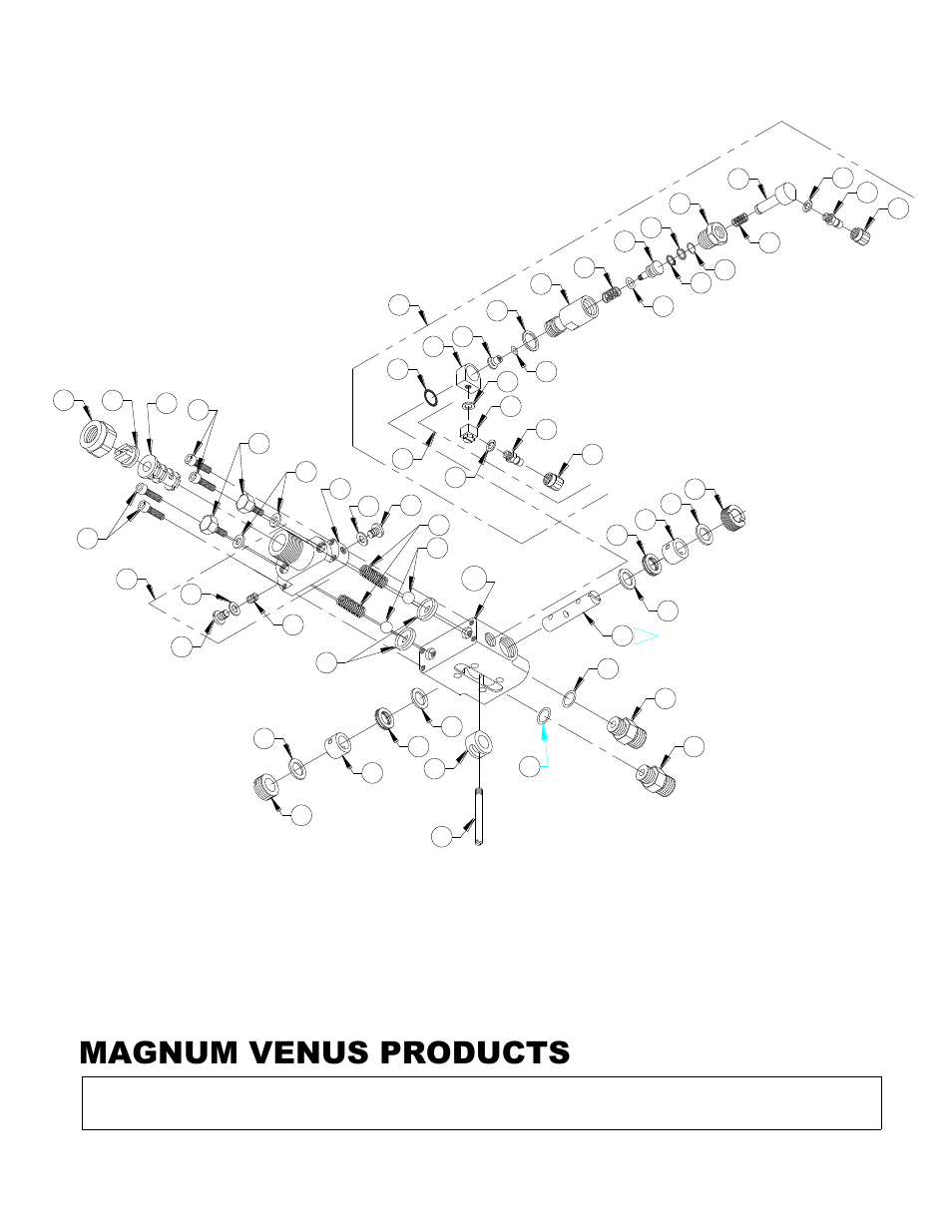 Magnum venus products | Magnum Venus Plastech CB-5000-PRX RTM Control Box User Manual | Page 36 / 46