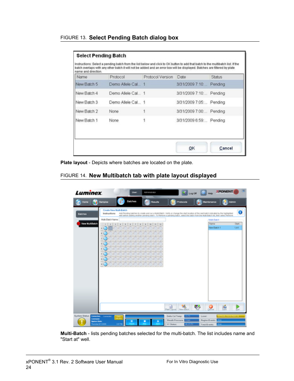 Luminex xPONENT 3.1 Rev 2 (IVD) User Manual | Page 34 / 108