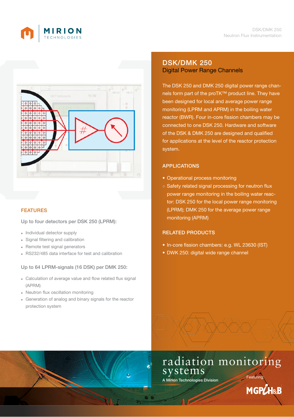 Mirion Technologies DSK_DMK 250 User Manual | 2 pages