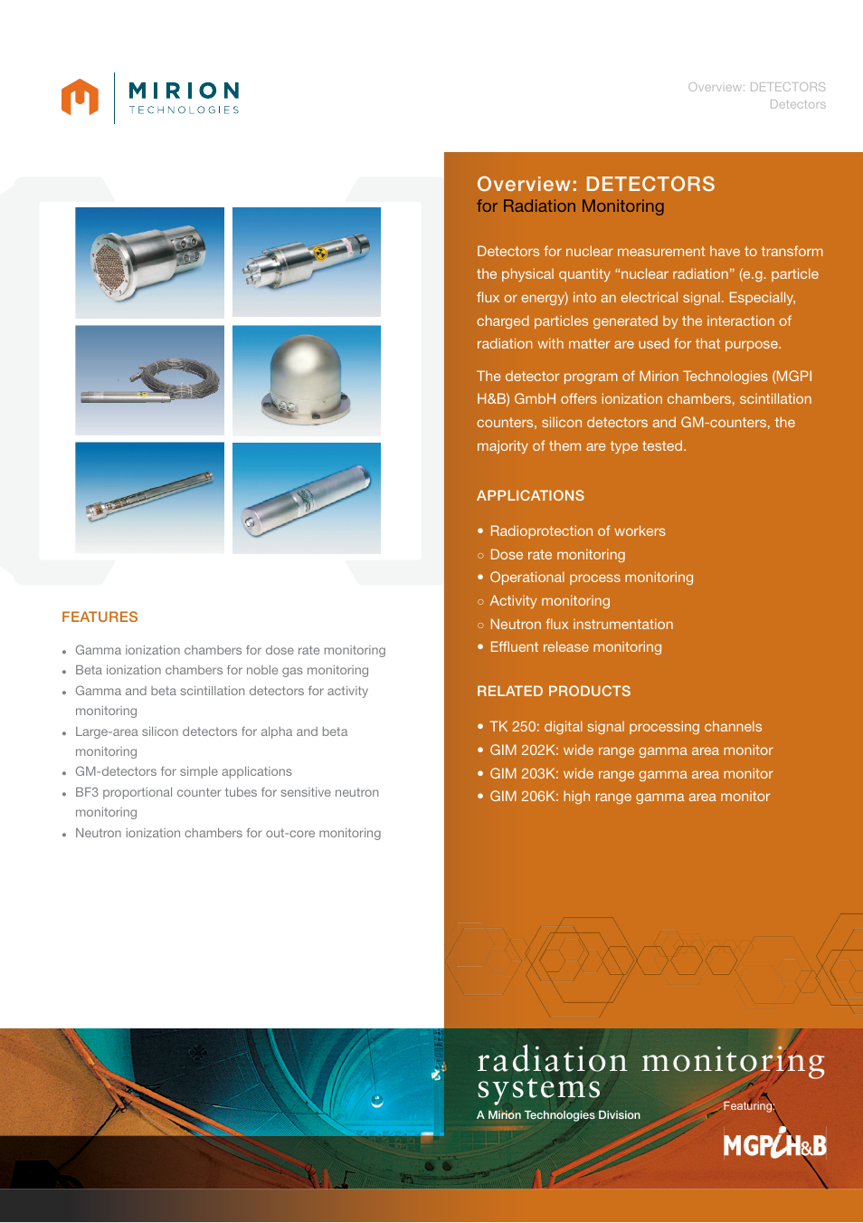 Mirion Technologies Detectors User Manual | 2 pages