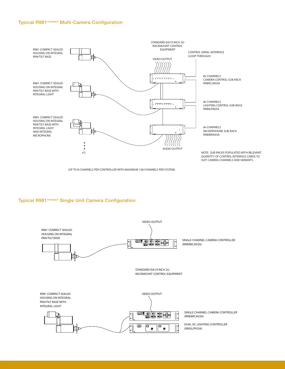 Mirion Technologies R981_C981 Compact User Manual | Page 3 / 4