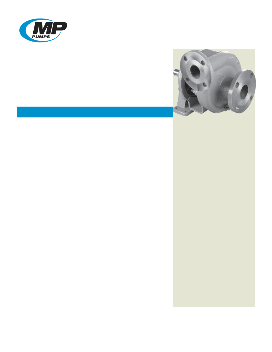 MP Pumps PETROLEUM 300 User Manual | 5 pages