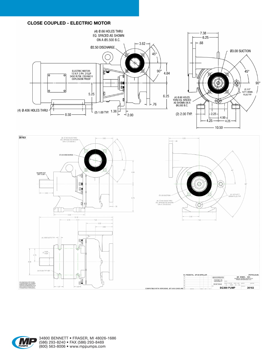Petroleum 300 | MP Pumps PETROLEUM 300 User Manual | Page 4 / 5