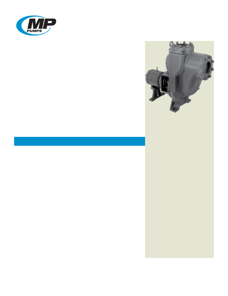 MP Pumps PETROLEUM 40 User Manual | 5 pages