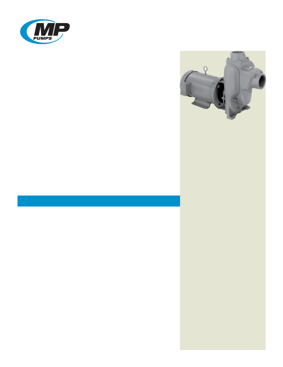 MP Pumps PETROLEUM 8 User Manual | 9 pages