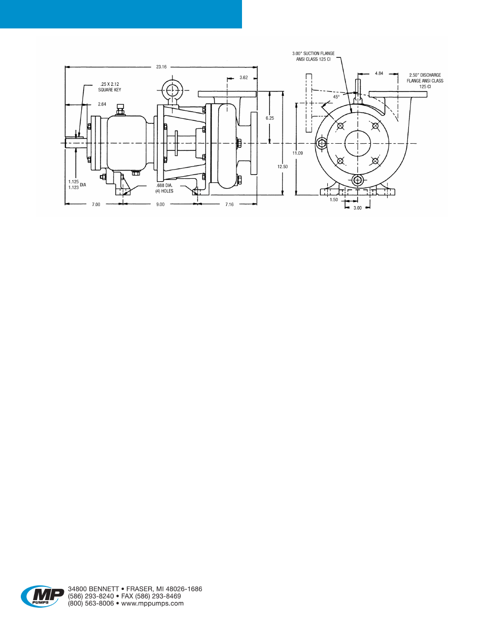 Series 300 | MP Pumps 300 Series User Manual | Page 3 / 4