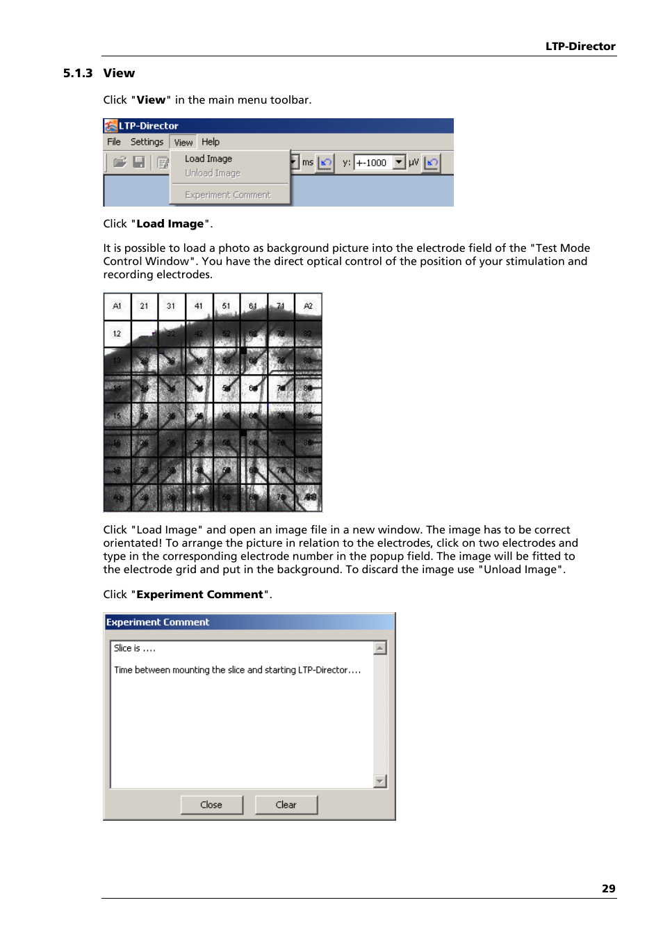 Multichannel Systems LTP-Director Manual User Manual | Page 33 / 89
