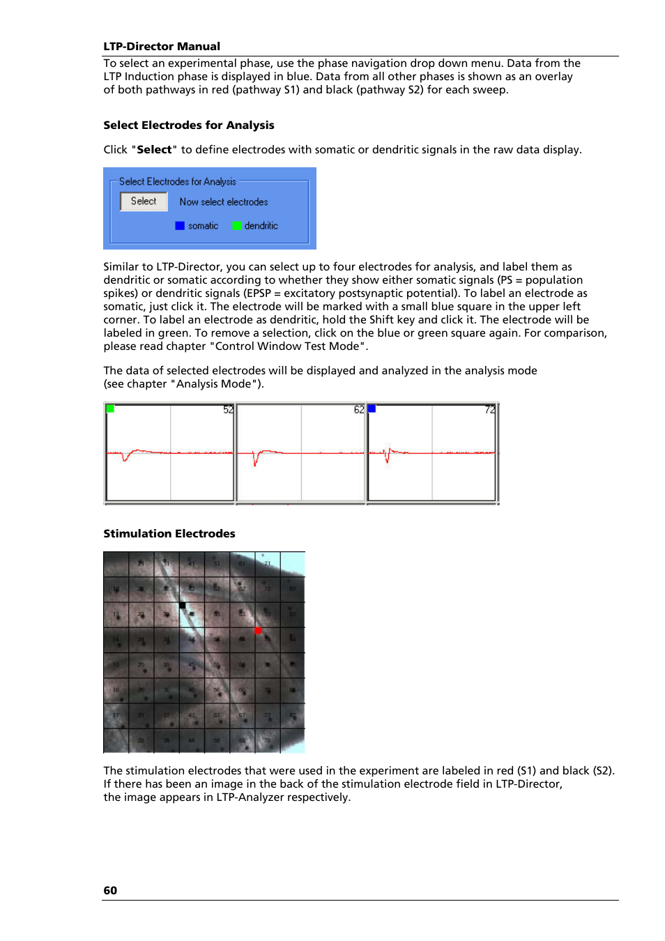 Multichannel Systems LTP-Director Manual User Manual | Page 64 / 89