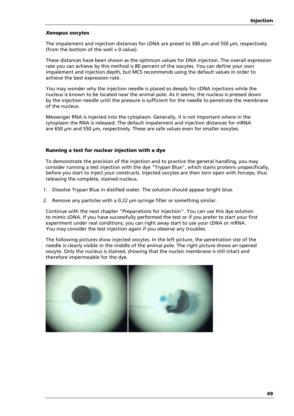 Multichannel Systems Roboinject Manual User Manual | Page 53 / 91