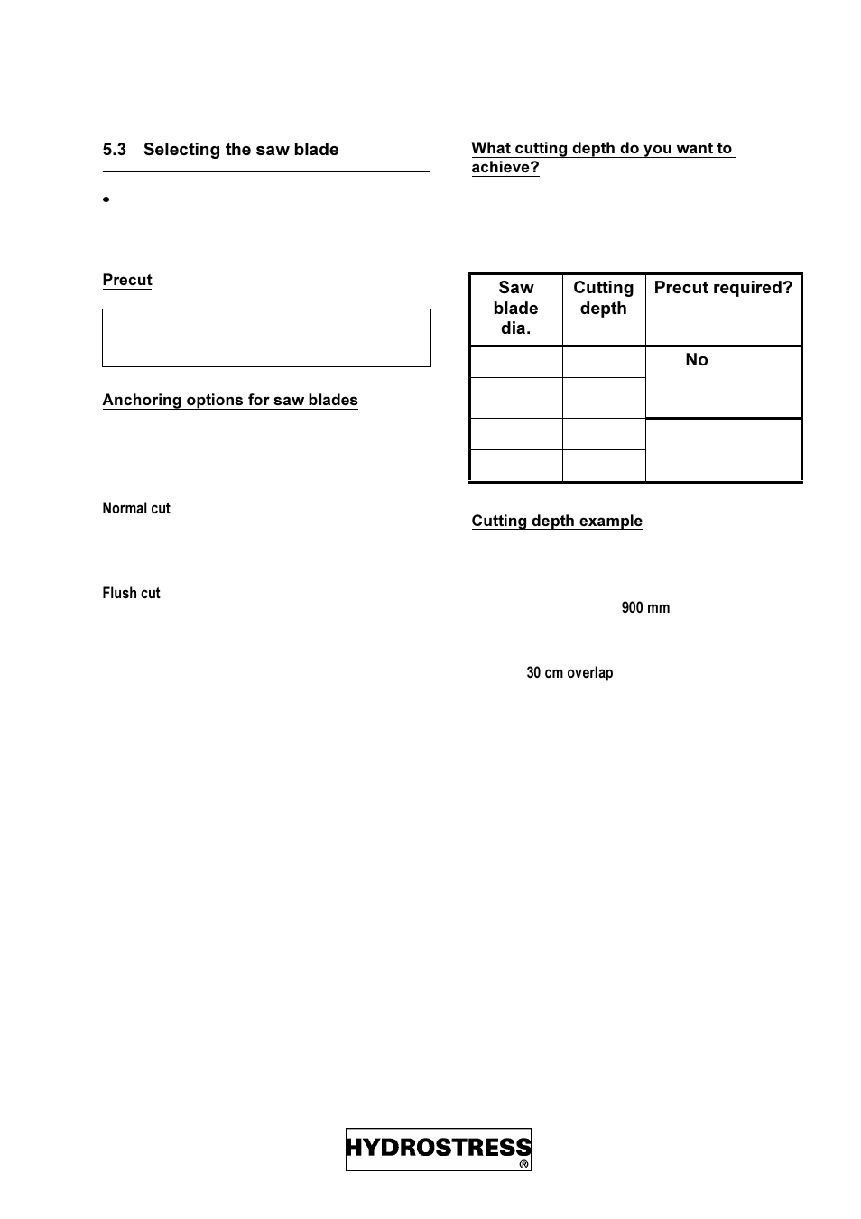 3 selecting the saw blade, Selecting the saw blade | Diamond Products DZ-S2 User Manual | Page 17 / 68