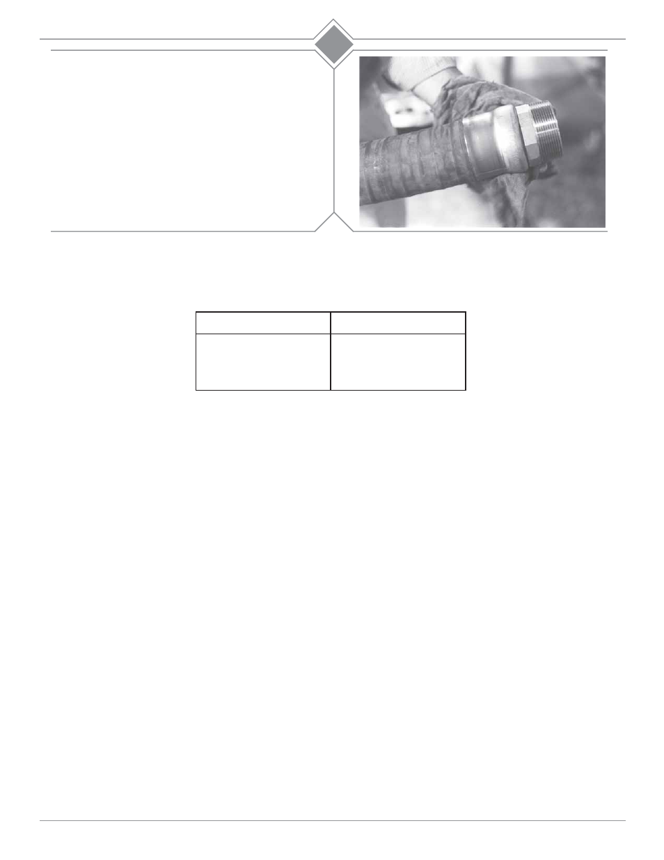 Dixon Valve 25 TON RAM SEC03 External Swaged RST and GAS User Manual | Page 5 / 5
