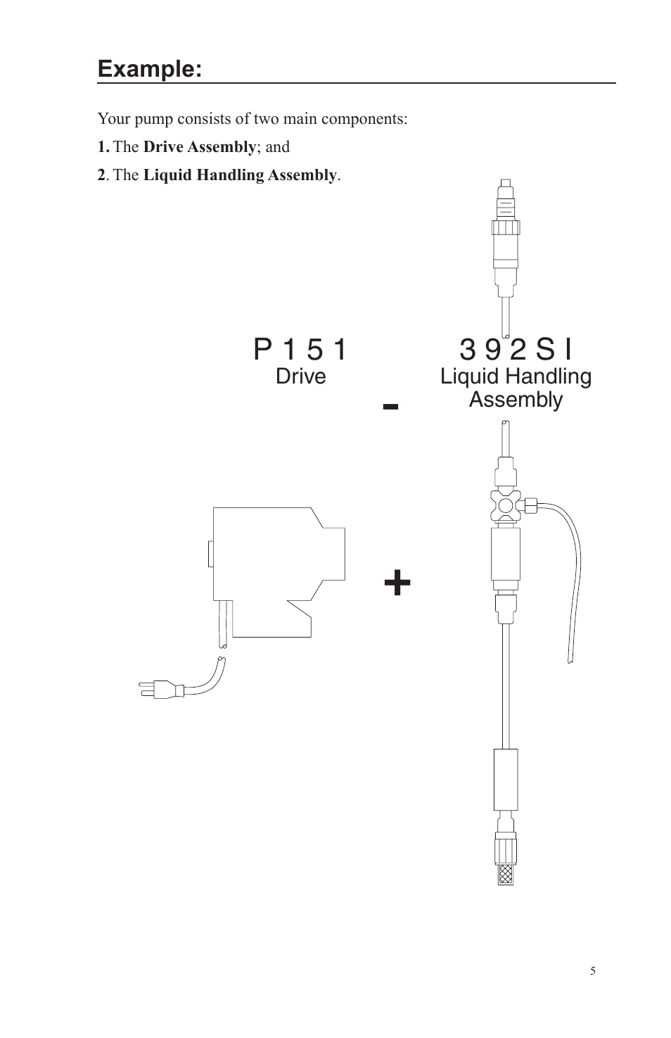 Nova-Tech LMI Series AA-B-C-E-J-P Metering Pumps User Manual | Page 5 / 44