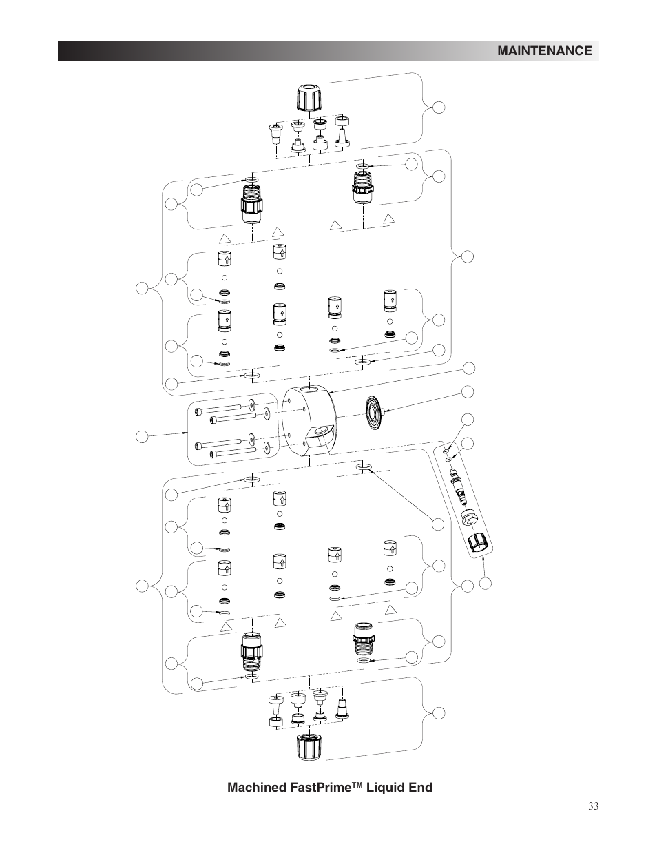 Maintenance machined fastprime, Liquid end | Nova-Tech LMI Roytronic Series A Metering Pump User Manual | Page 33 / 40