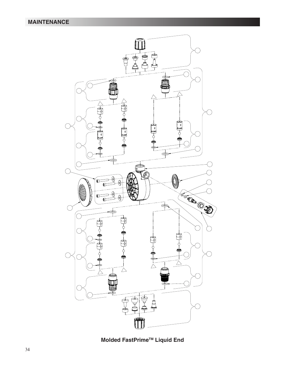 Maintenance molded fastprime, Liquid end | Nova-Tech LMI Roytronic Series A Metering Pump User Manual | Page 34 / 40