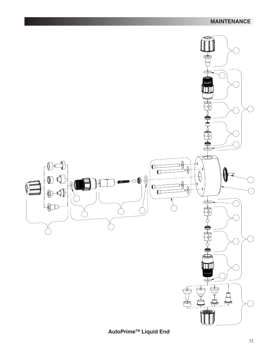 Maintenance, Autoprime, Liquid end | Nova-Tech LMI Roytronic Series A Metering Pump User Manual | Page 35 / 40