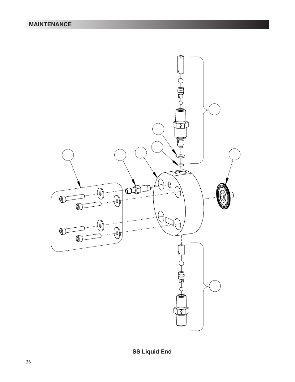 Nova-Tech LMI Roytronic Series A Metering Pump User Manual | Page 36 / 40