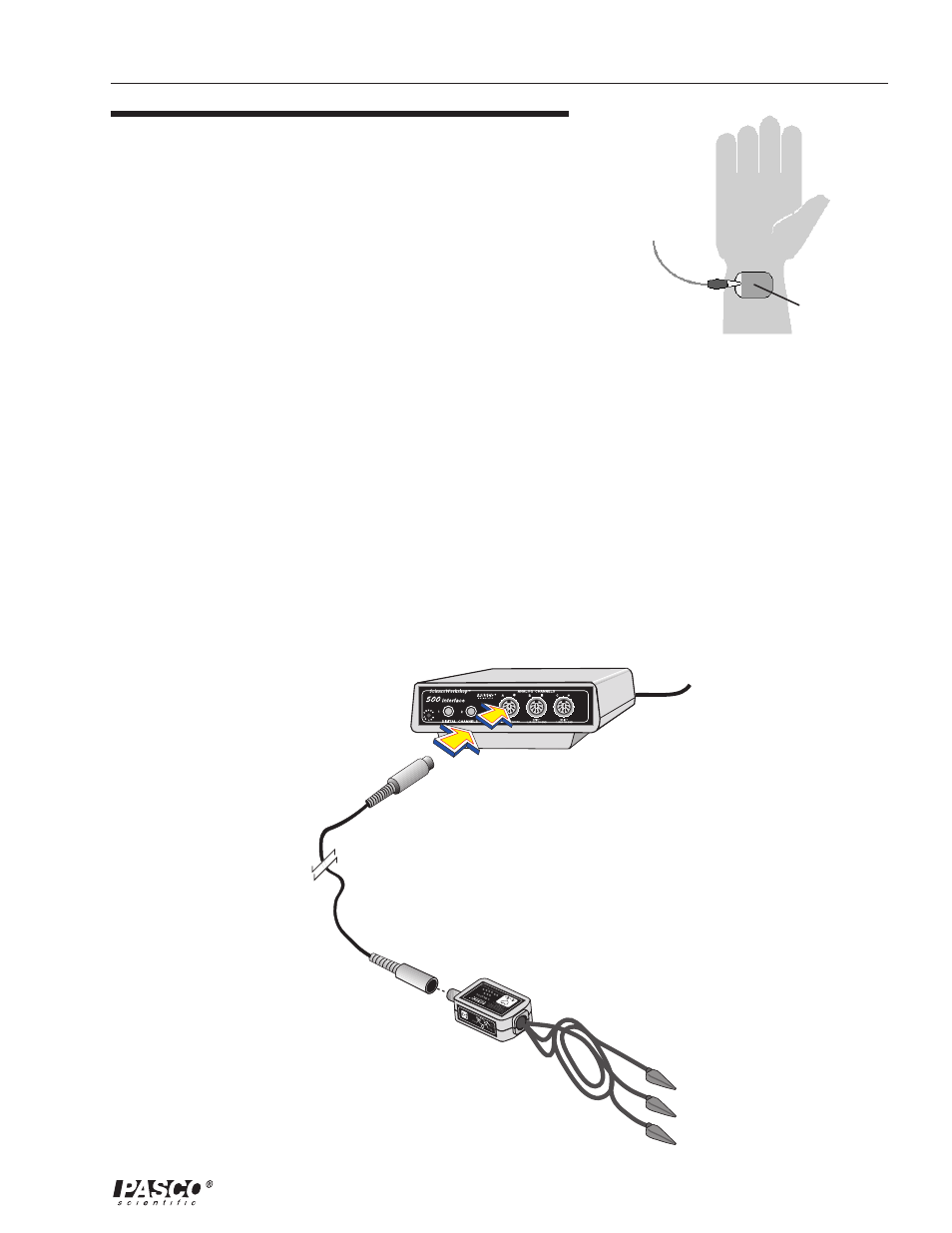Science workshop™ interfaces, Using the ekg sensor with | PASCO CI-6539A EKG SENSOR User Manual | Page 11 / 14