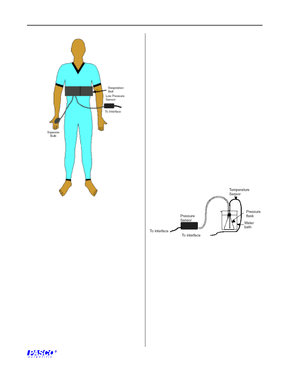 PASCO CI-6535 RESPIRATION RATE SENSOR User Manual | Page 5 / 6