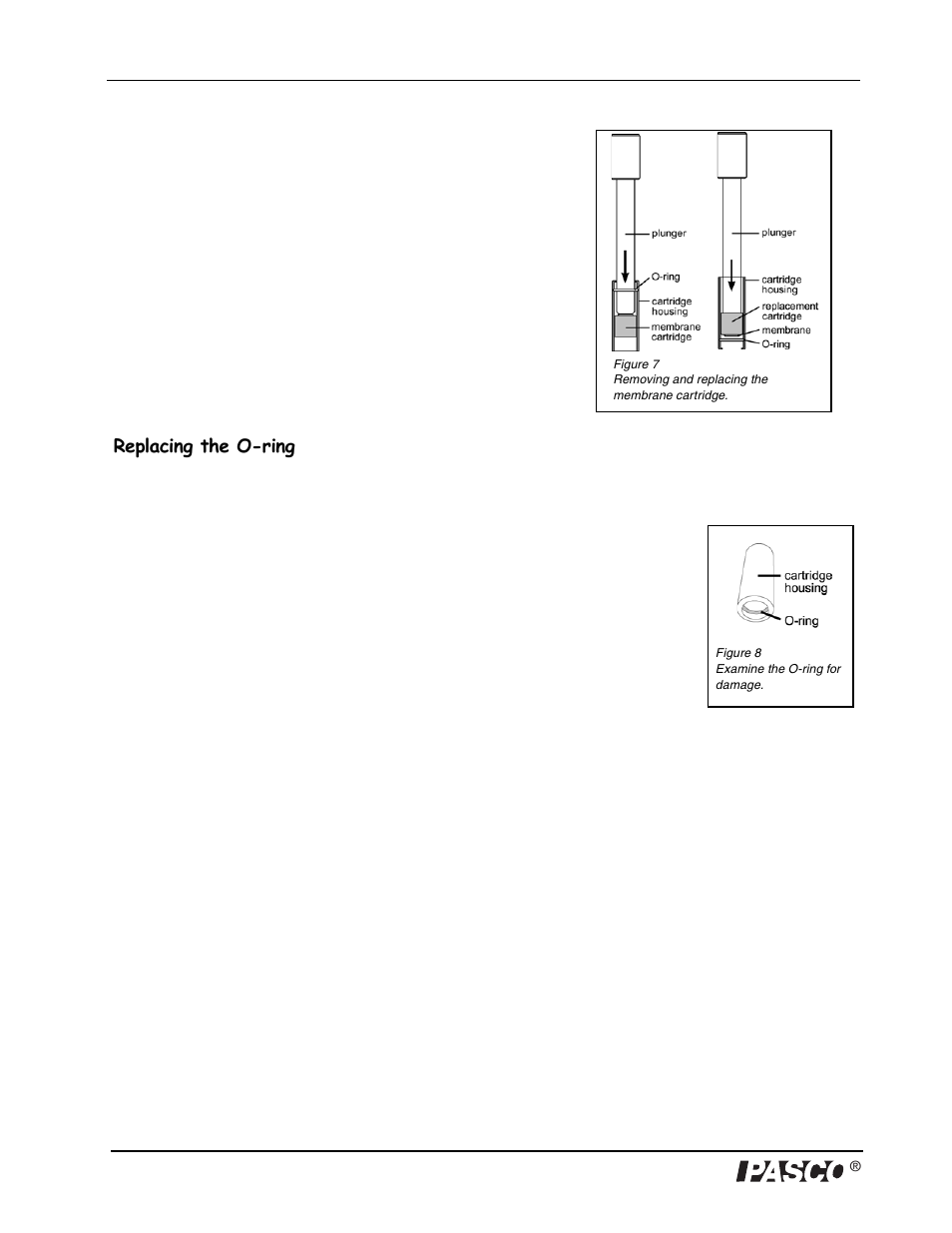 PASCO PS-2108 Dissolved Oxygen Sensor User Manual | Page 12 / 40