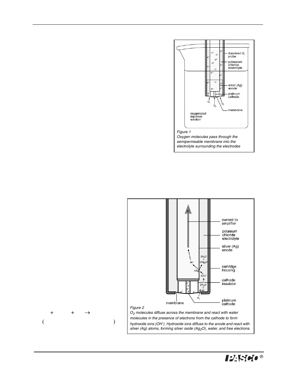 PASCO PS-2108 Dissolved Oxygen Sensor User Manual | Page 6 / 40