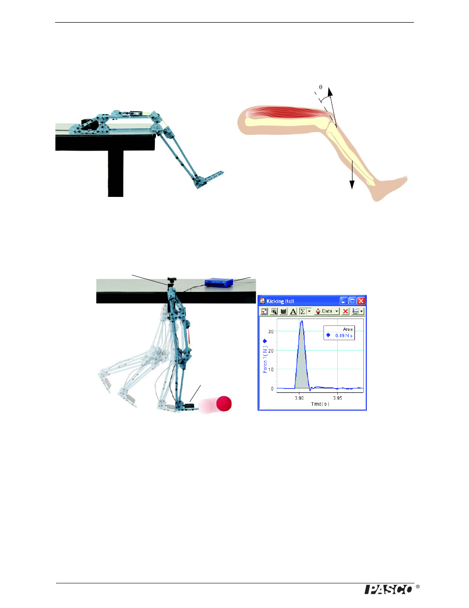 Human leg model: details | PASCO ME-6992B Advanced Structures Set User Manual | Page 18 / 58