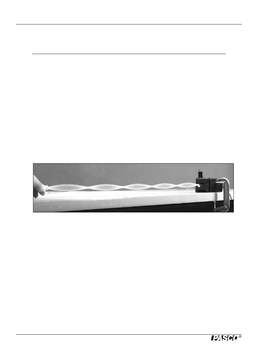 Introductory activity | PASCO WA-9857 String Vibrator User Manual | Page 8 / 26