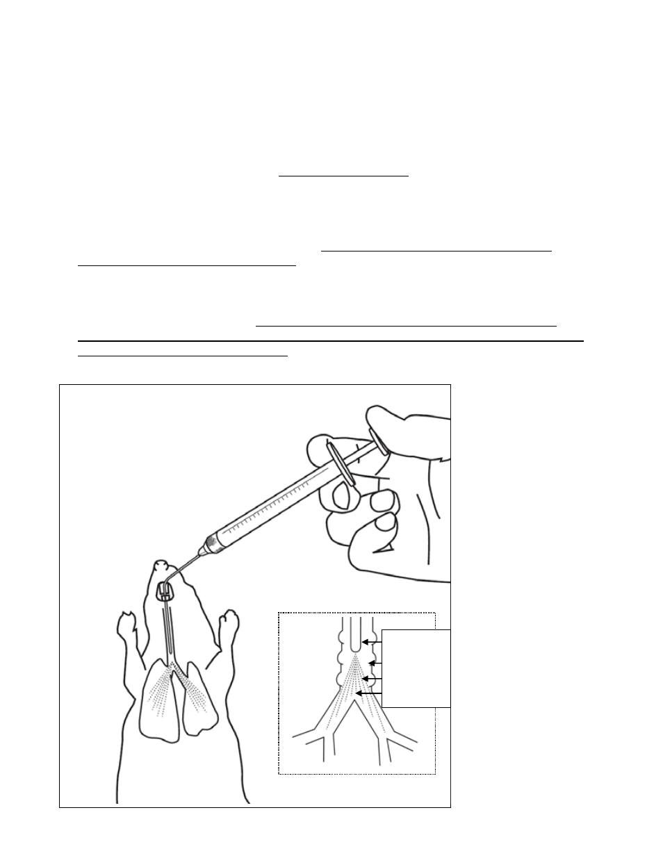 Penn-Century MSA-250-M for Mouse User Manual | Page 3 / 13