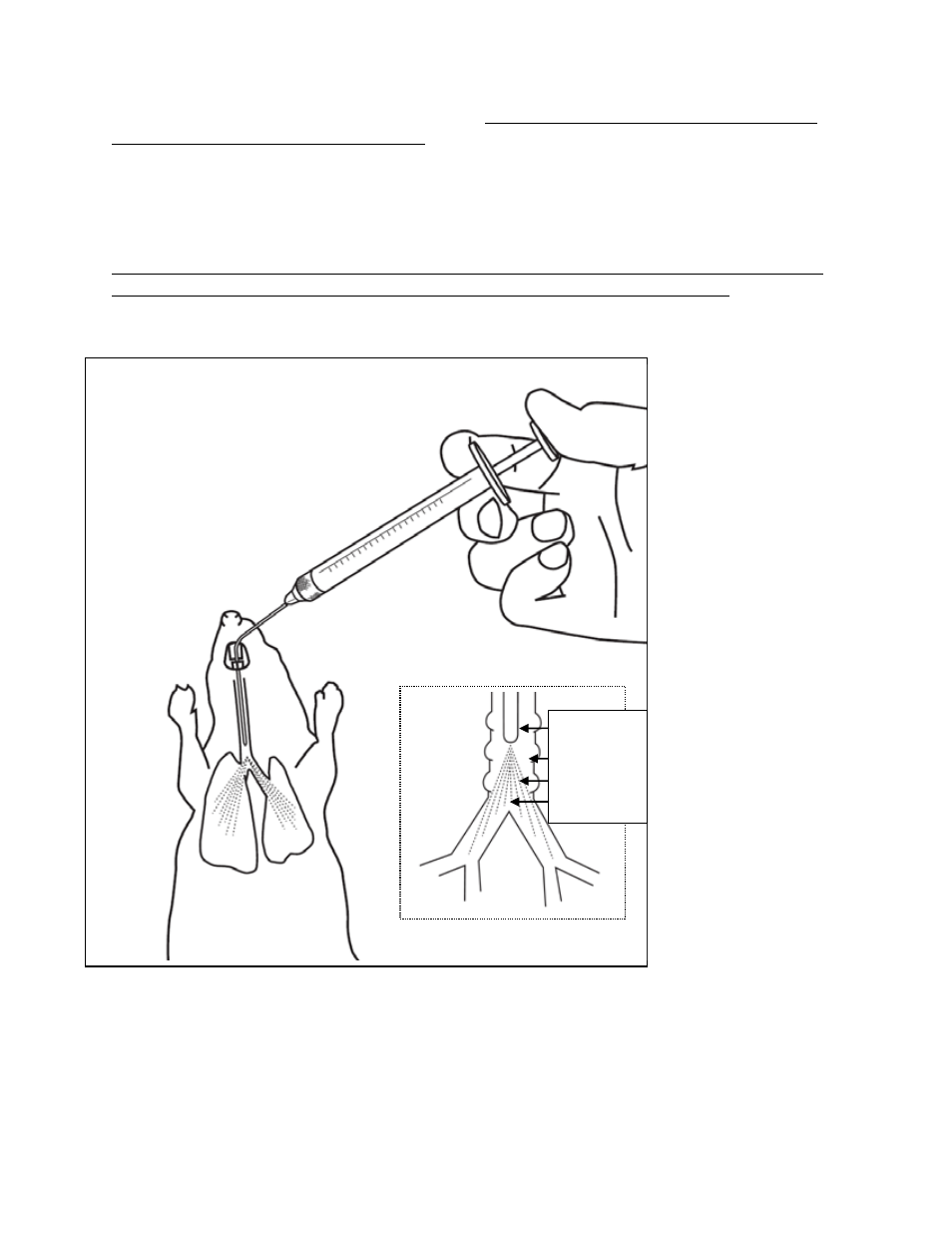 Penn-Century IA-1B-R for Rat User Manual | Page 3 / 10