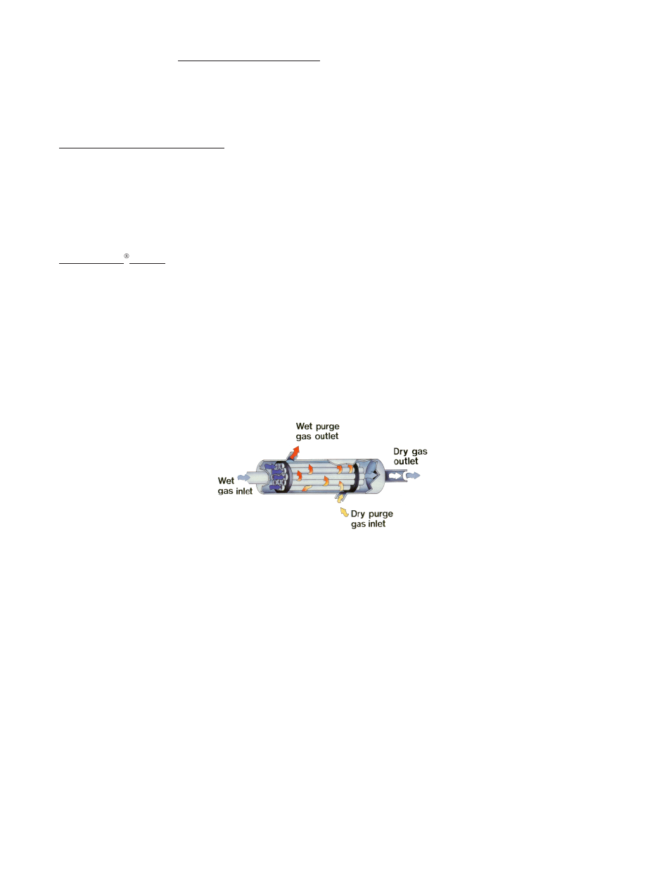 Perma Pure Mini-GASS 2812T User Manual | Page 8 / 36