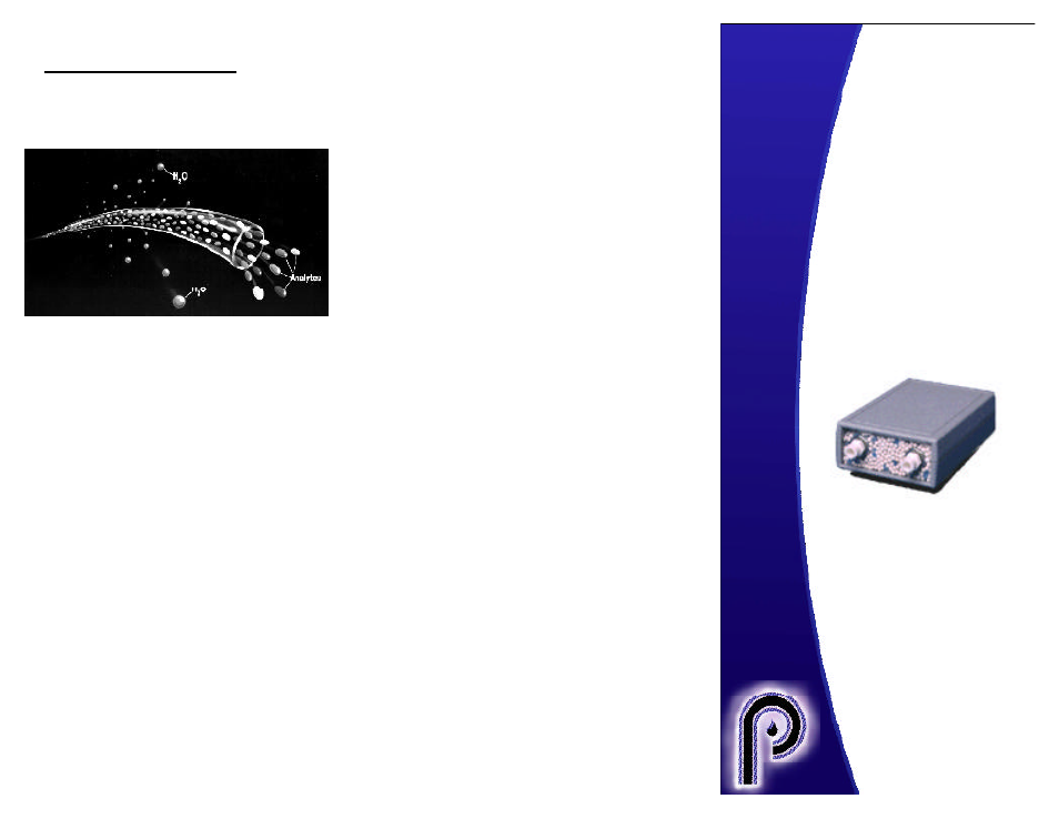 Perma Pure DM-Series User Manual | 2 pages