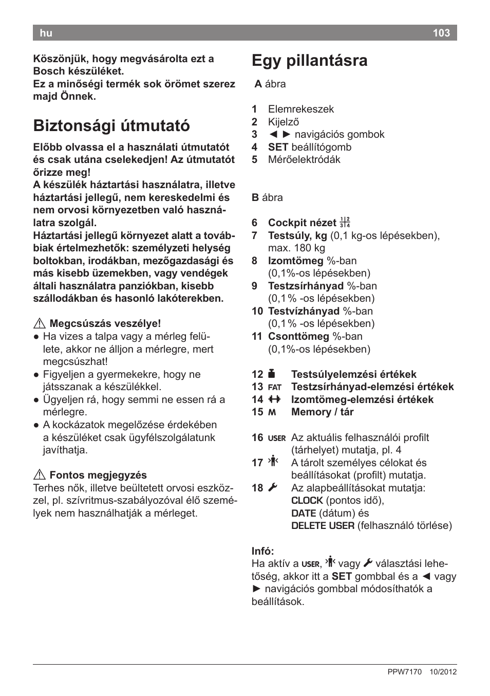 Biztonsági útmutató, Egy pillantásra | Bosch PPW7170 Analysewaage elektronisch AxxenceAnalysis Graphic User Manual | Page 103 / 137