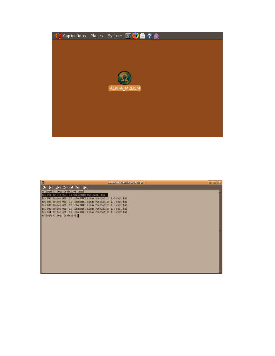 Lsusb, Sudo rmmod usbserial | PROLiNK PHS100 Linux Installation Guide User Manual | Page 10 / 16