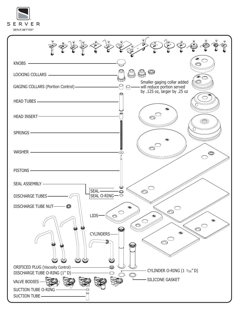 Server PUMPS User Manual | 4 pages