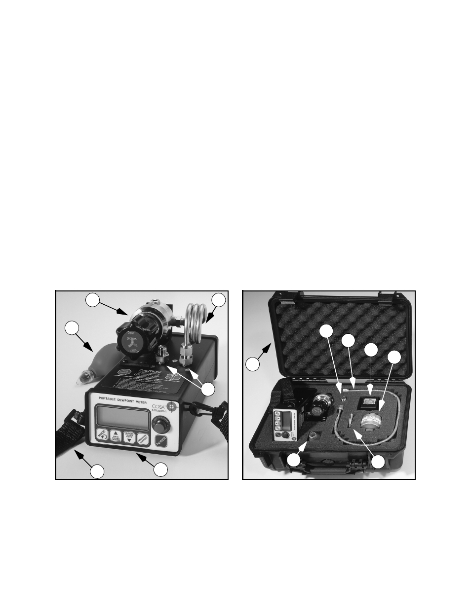 Introduction, Xpdm portable instrument with sensor, desiccant, 2 vco to swagelok fittings and 2 swagelok to ba | Calibration bulb, Shoulder strap, Vco to vco fittings, Pig tail, Flexible stainless steel hose, Pressure regulator, all stainless steel, (prese, Coalescing filter, all stainless steel with mou | Teledyne 8800P - Trace moisture analyzer - portable transmitter User Manual | Page 3 / 23